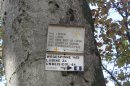 Echappatoire : gare de Lubine
